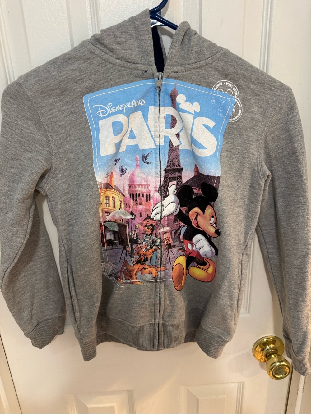 Disneyland Paris Bon Voyage Full Zip Hoodie